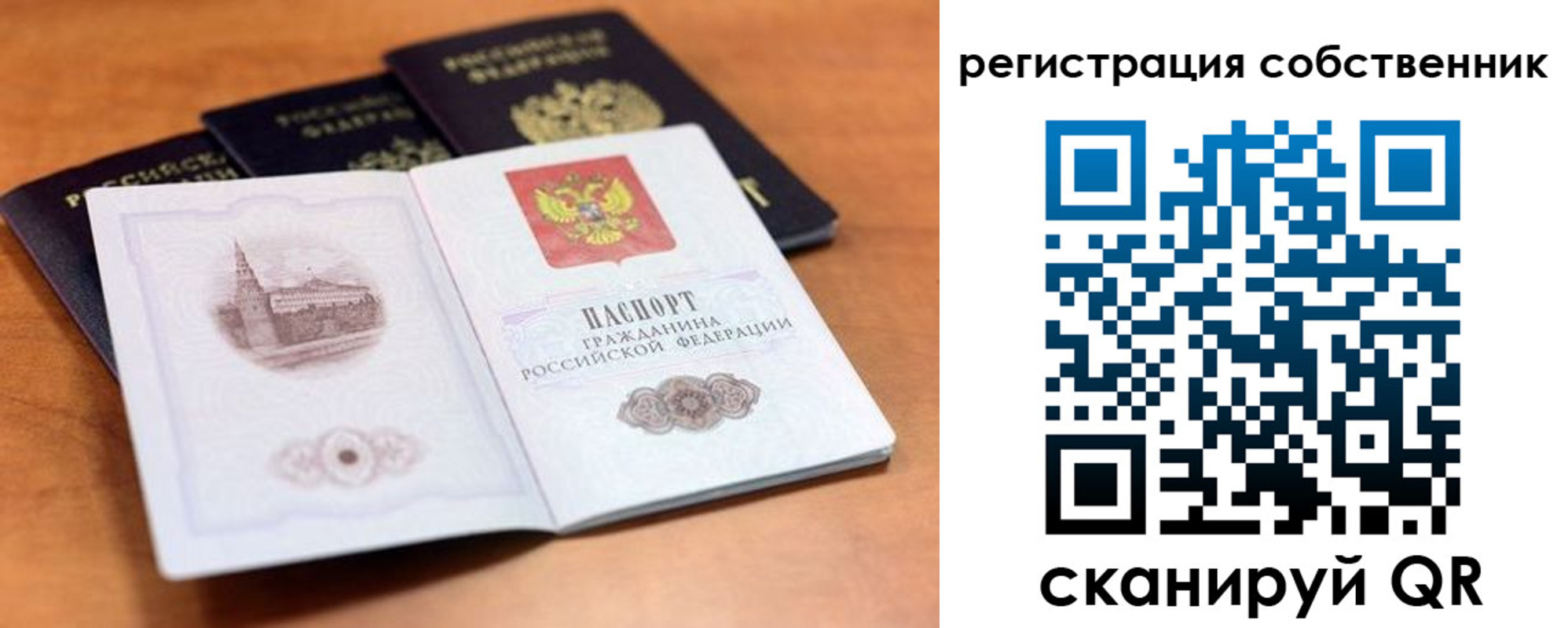 прописка поиск в Красногорске